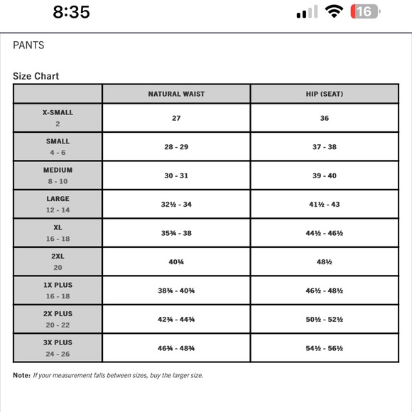 Carhartt pants - Picture 9 of 10